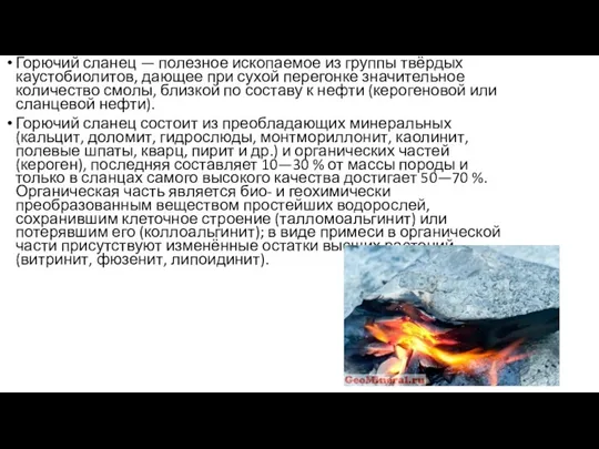 Горючий сланец — полезное ископаемое из группы твёрдых каустобиолитов, дающее