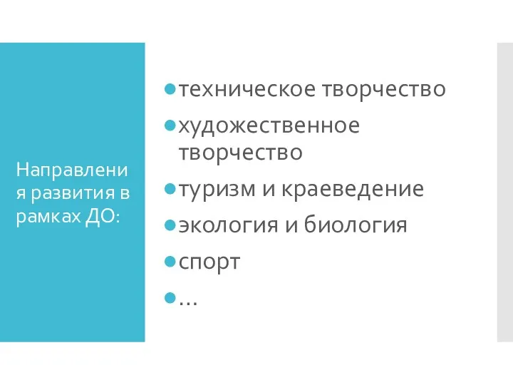 Направления развития в рамках ДО: техническое творчество художественное творчество туризм