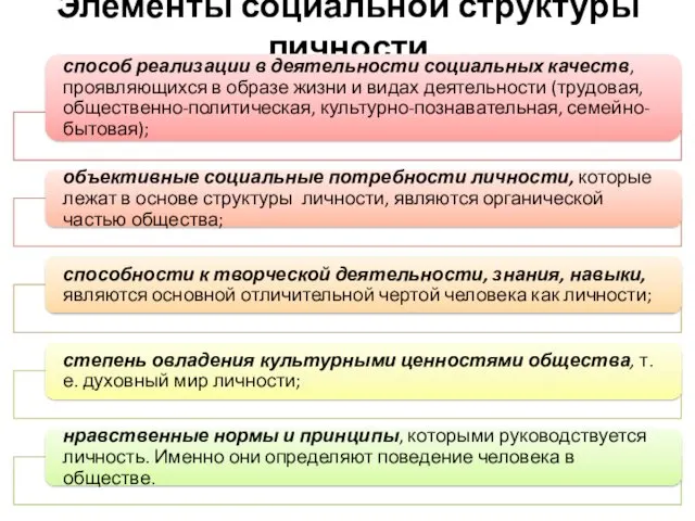 Элементы социальной структуры личности