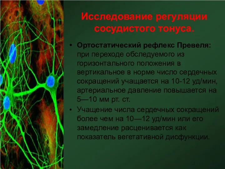 Исследование регуляции сосудистого тонуса. Ортостатический рефлекс Превеля: при переходе обследуемого