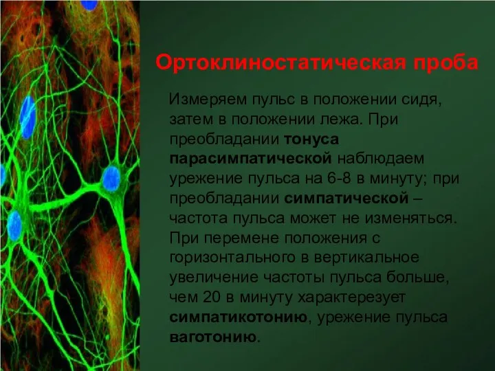 Ортоклиностатическая проба Измеряем пульс в положении сидя, затем в положении