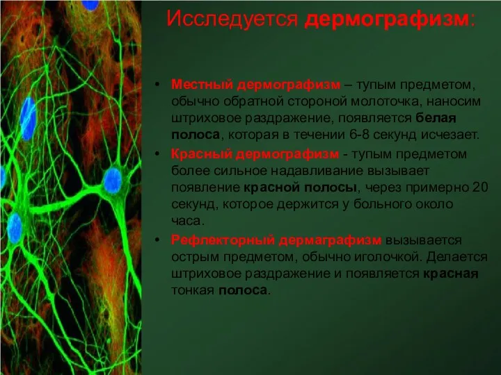 Исследуется дермографизм: Местный дермографизм – тупым предметом, обычно обратной стороной