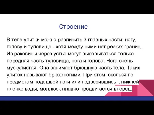 Строение В теле улитки можно различить 3 главных части: ногу,