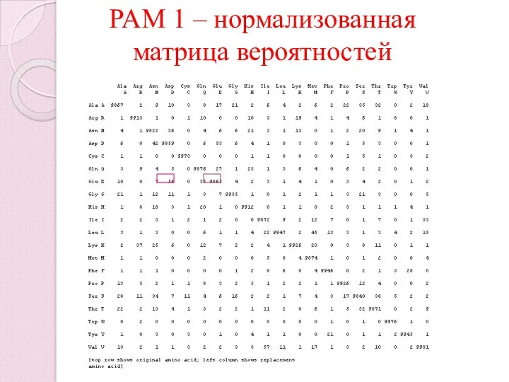PAM 1 – нормализованная матрица вероятностей