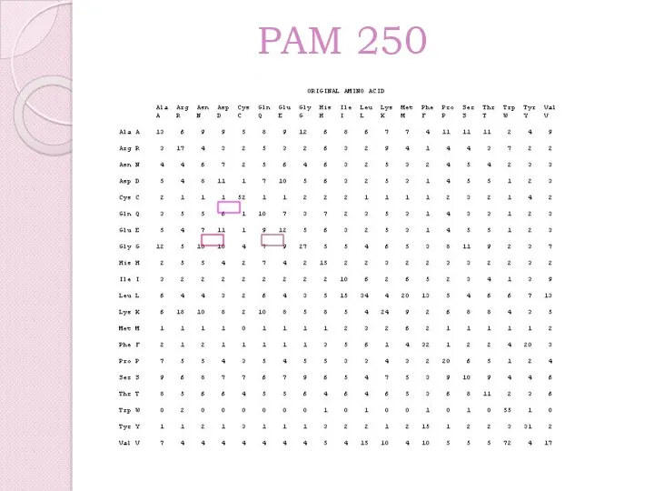 PAM 250