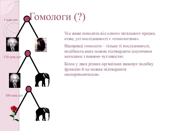 Гомологи (?) Усе живе походить від одного загального предка, отже,