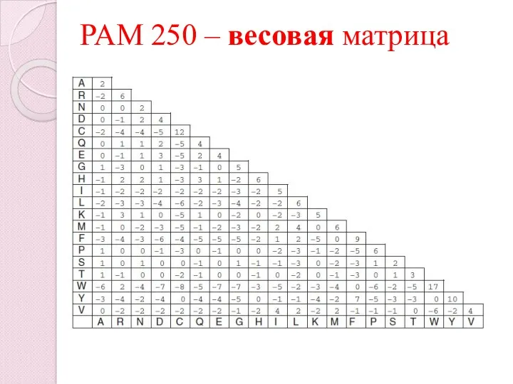 PAM 250 – весовая матрица