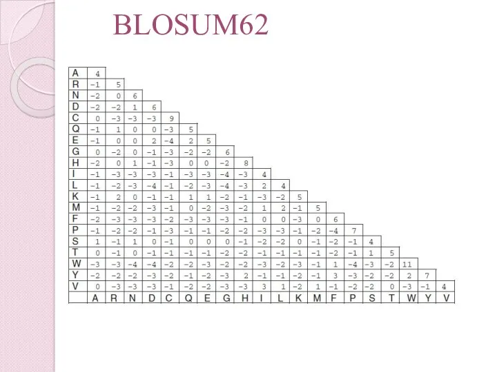 BLOSUM62