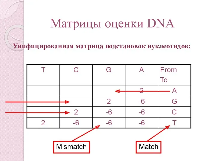 Матрицы оценки DNA Унифицированная матрица подстановок нуклеотидов: Mismatch