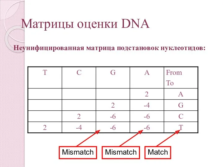 Матрицы оценки DNA Неунифицированная матрица подстановок нуклеотидов: