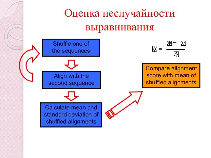 Оценка неслучайности выравнивания Shuffle one of the sequences Align with the second sequence