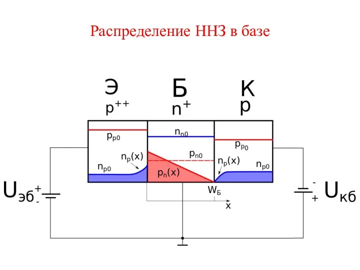 Распределение ННЗ в базе