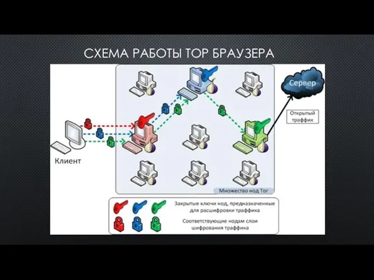 СХЕМА РАБОТЫ ТОР БРАУЗЕРА