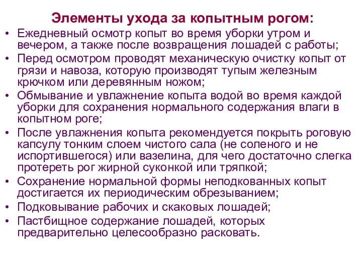 Элементы ухода за копытным рогом: Ежедневный осмотр копыт во время уборки утром и