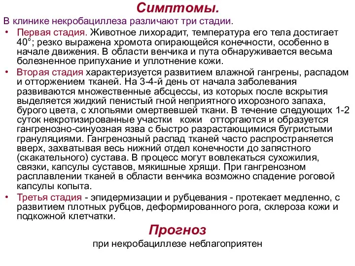 Симптомы. В клинике некробациллеза различают три стадии. Первая стадия. Животное лихорадит, температура его