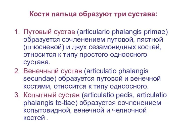 Кости пальца образуют три сустава: Путовый сустав (articulario phalangis primae)