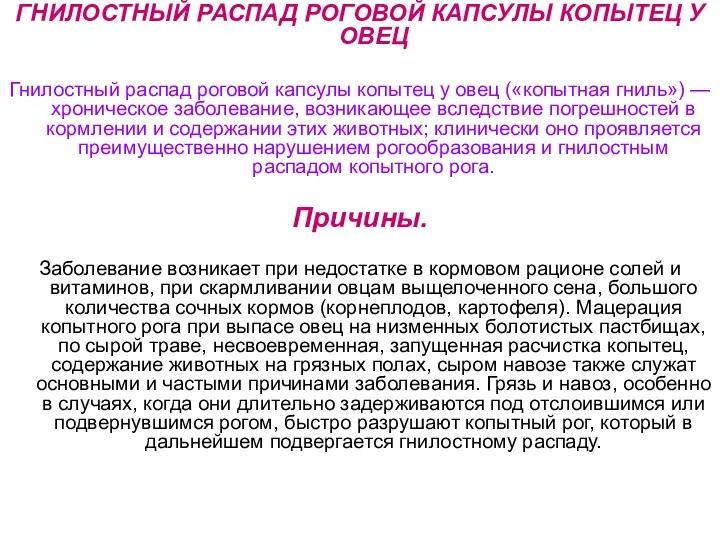 ГНИЛОСТНЫЙ РАСПАД РОГОВОЙ КАПСУЛЫ КОПЫТЕЦ У ОВЕЦ Гнилостный распад роговой капсулы копытец у