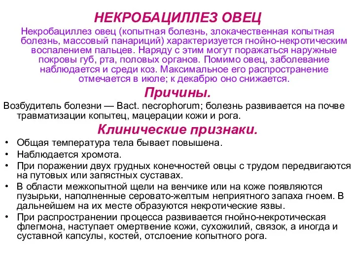 НЕКРОБАЦИЛЛЕЗ ОВЕЦ Некробациллез овец (копытная болезнь, злокачественная копытная болезнь, массовый