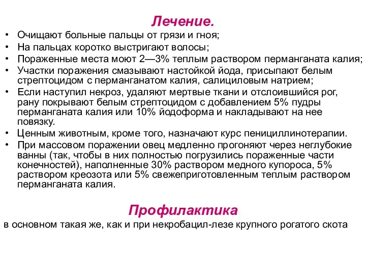 Лечение. Очищают больные пальцы от грязи и гноя; На пальцах коротко выстригают волосы;