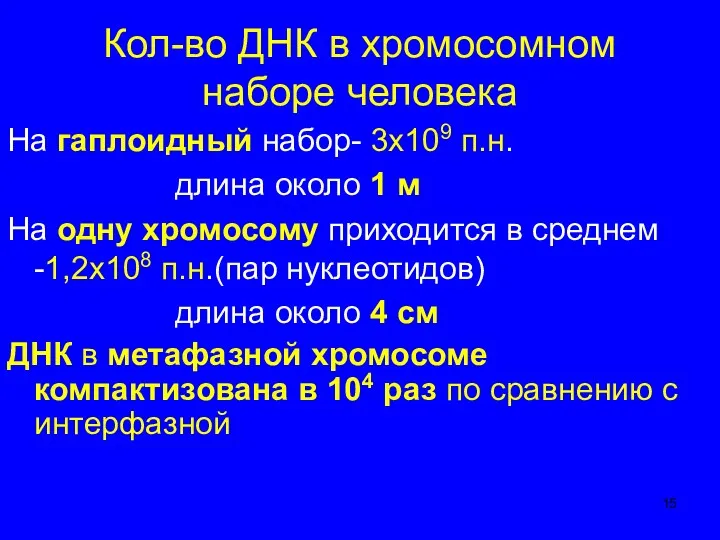 Кол-во ДНК в хромосомном наборе человека На гаплоидный набор- 3х109