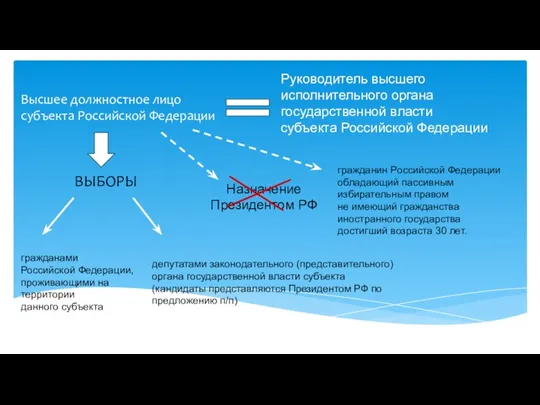 Высшее должностное лицо субъекта Российской Федерации Руководитель высшего исполнительного органа