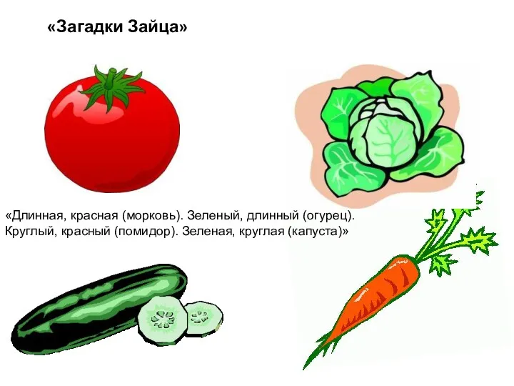 «Загадки Зайца» «Длинная, красная (морковь). Зеленый, длинный (огурец). Круглый, красный (помидор). Зеленая, круглая (капуста)»