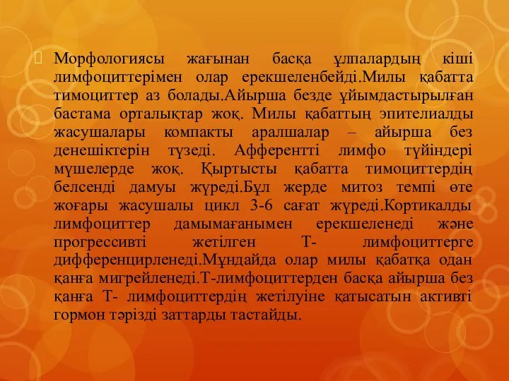 Морфологиясы жағынан басқа ұлпалардың кіші лимфоциттерімен олар ерекшеленбейді.Милы қабатта тимоциттер