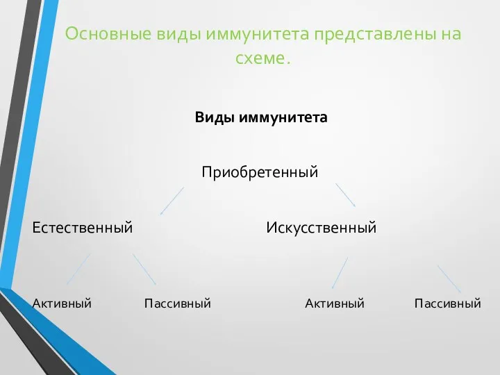 Основные виды иммунитета представлены на схеме. Виды иммунитета Приобретенный Естественный Искусственный Активный Пассивный Активный Пассивный