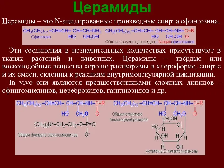 Церамиды Церамиды – это N-ацилированные производные спирта сфингозина. Эти соединения