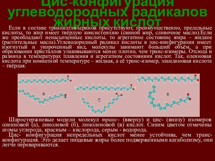 Цис-конфигурация углеводородных радикалов жирных кислот Если в составе триацилглицеринов присутствуют,