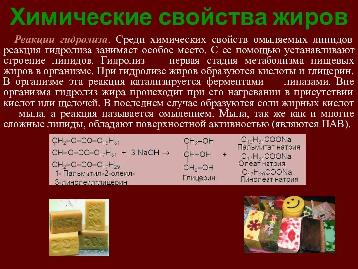 Химические свойства жиров Реакции гидролиза. Среди химических свойств омыляемых липидов