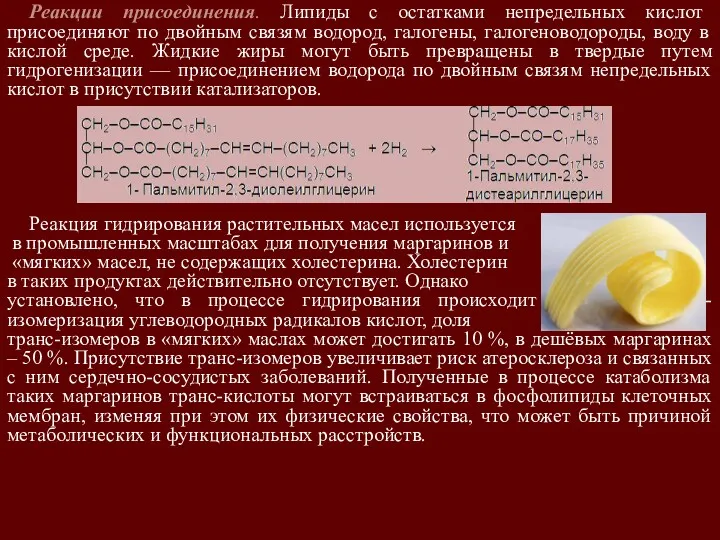 Реакции присоединения. Липиды с остатками непредельных кислот присоединяют по двойным