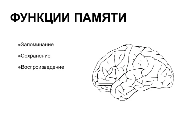 ФУНКЦИИ ПАМЯТИ Запоминание Сохранение Воспроизведение