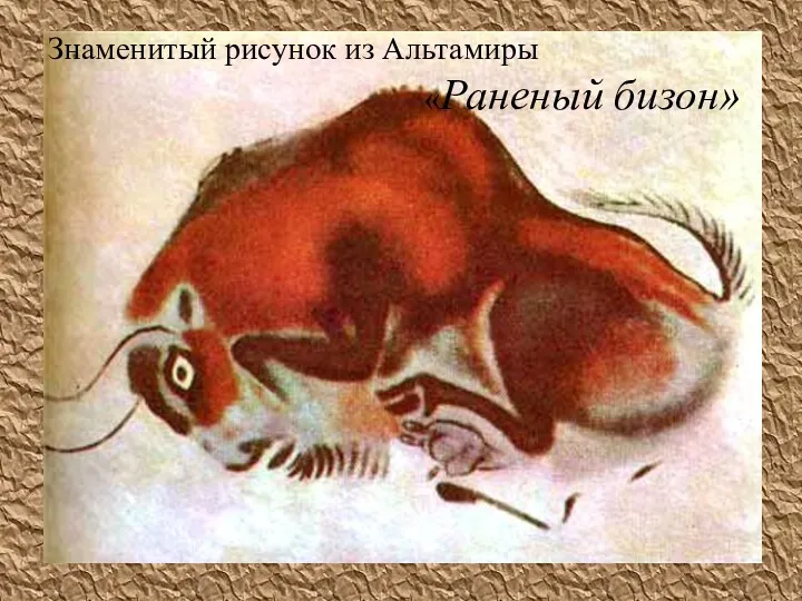 Знаменитый рисунок из Альтамиры «Раненый бизон»