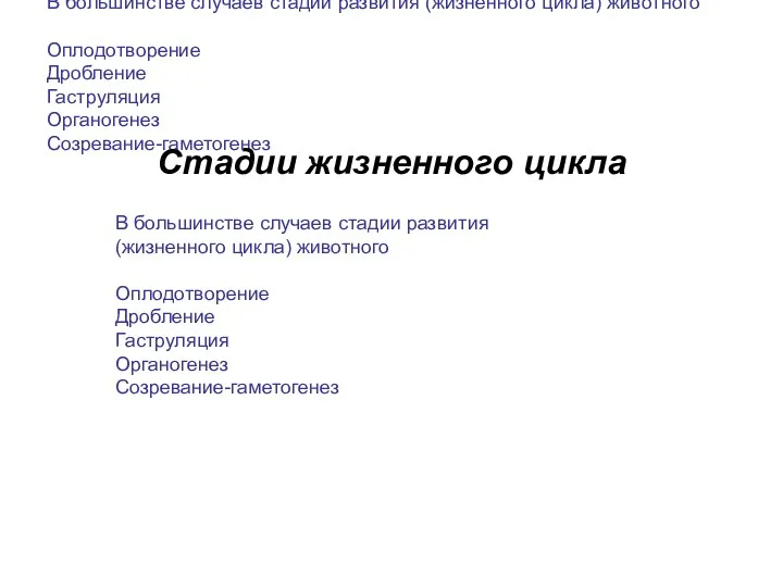 В большинстве случаев стадии развития (жизненного цикла) животного Оплодотворение Дробление