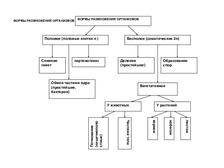 ФОРМЫ РАЗМНОЖЕНИЯ ОРГАНИЗМОВ