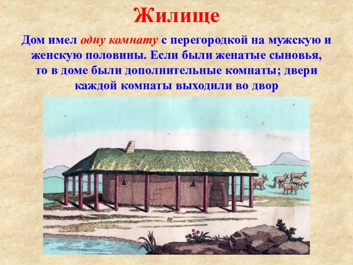 Жилище Дом имел одну комнату с перегородкой на мужскую и