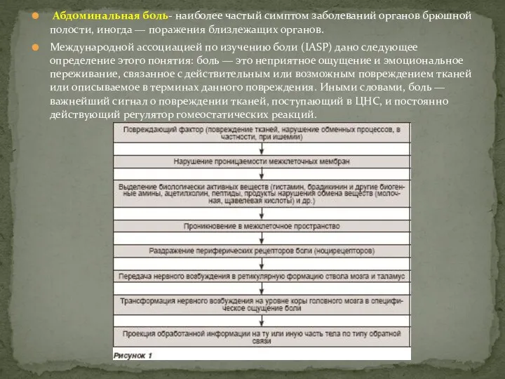 Абдоминальная боль- наиболее частый симптом заболеваний органов брюшной полости, иногда