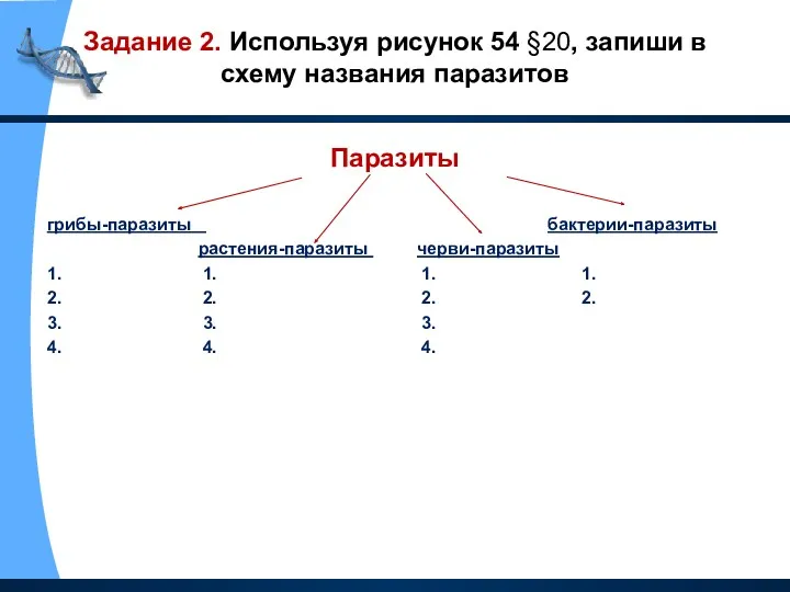 Задание 2. Используя рисунок 54 §20, запиши в схему названия