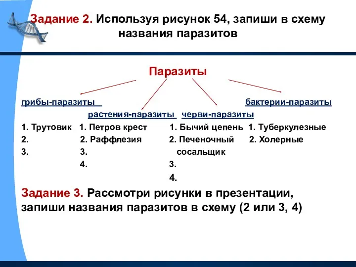 Задание 2. Используя рисунок 54, запиши в схему названия паразитов