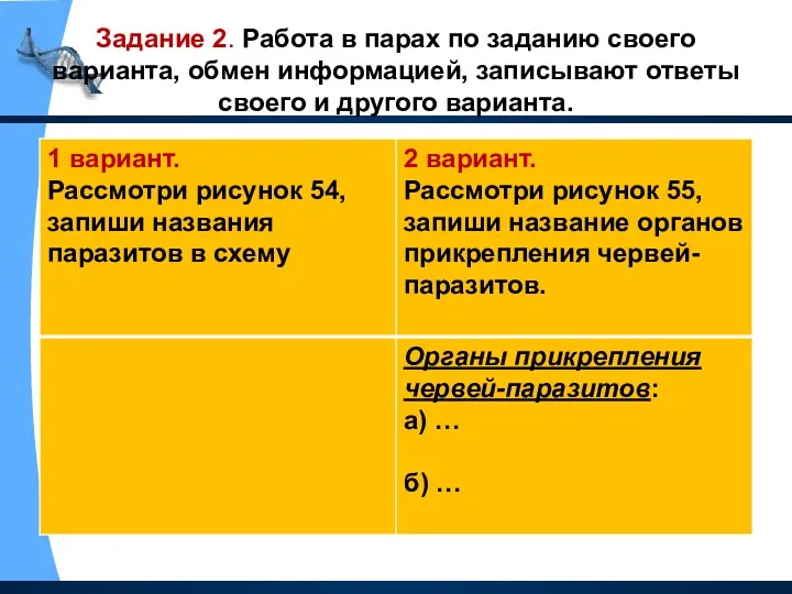 Задание 2. Работа в парах по заданию своего варианта, обмен