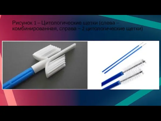 Рисунок 1 – Цитологические щетки (слева – комбинированная, справа – 2 цитологические щетки)