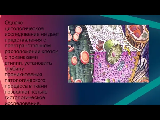 Однако цитологическое исследование не дает представления о пространственном расположении клеток