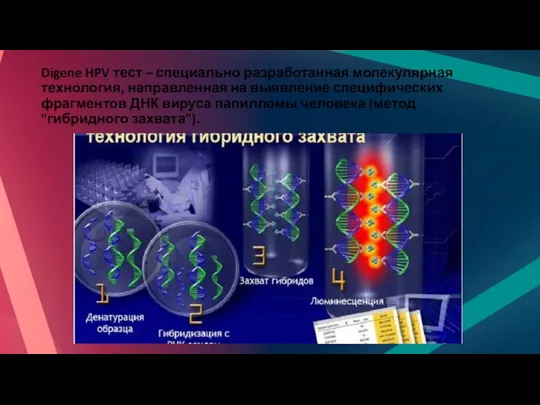 Digene HPV тест – специально разработанная молекулярная технология, направленная на