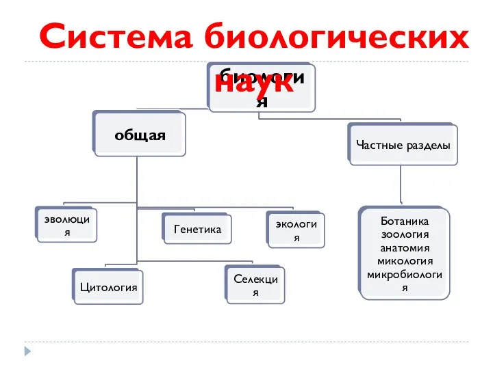 Система биологических наук