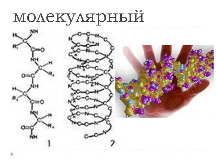 молекулярный