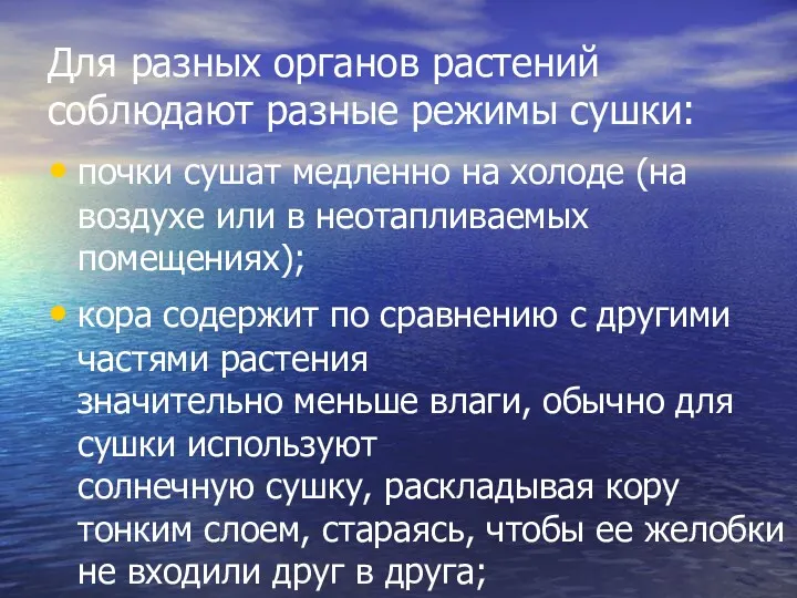 Для разных органов растений соблюдают разные режимы сушки: почки сушат медленно на холоде