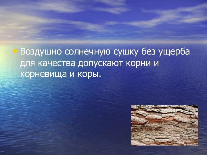 Воздушно солнечную сушку без ущерба для качества допускают корни и корневища и коры.