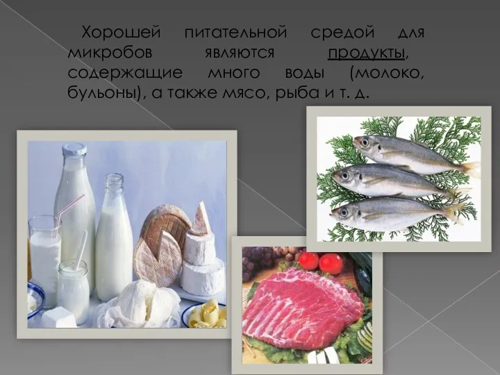 Хорошей питательной средой для микробов являются продукты, содержащие много воды