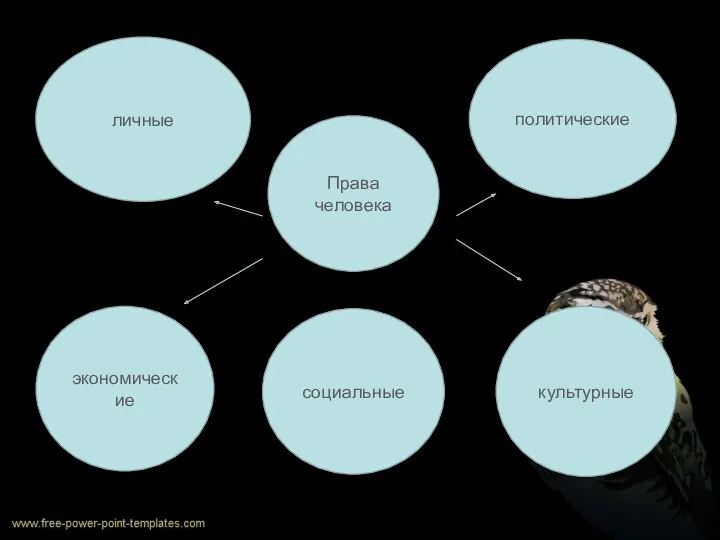 Права человека личные политические экономические культурные социальные